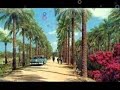 07 2023 مركب هوانا من البصرة جانا رضا علي 
