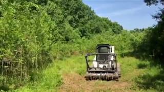 Forestry Mulching 1-acre in Old Hickory, TN Before-After by Clevinger Forest Services, LLC 7,595 views 5 years ago 1 minute, 22 seconds