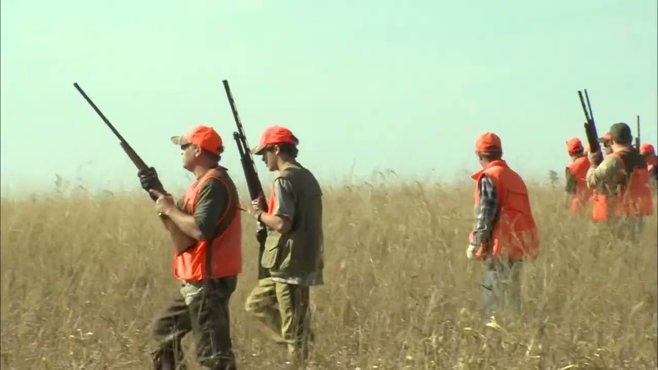 The economy of pheasant hunting in South Dakota | Dakota Life