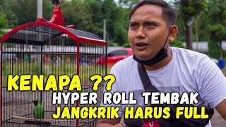 KENAPA ?? IJO HYPER ROLL TEMBAK JANGKRIKNYA FULL SEKENYANGNYA