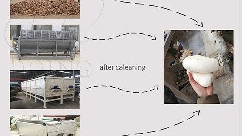 Cassava washing and peeling machine in cassava flour processing plant