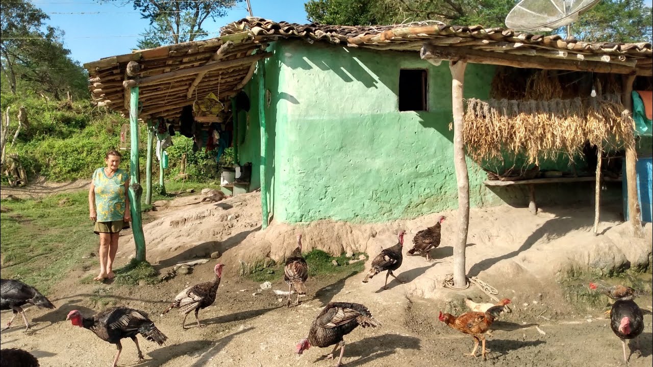 Conheça dona Amara na simplicidade da roça / CANHOTINHO / PE  parte1