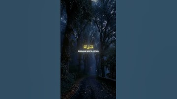 محمد اللحيدان | سورة المؤمنون (115-116)