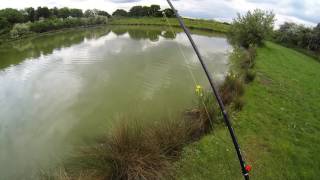 Carp on ultra light rod -MajorCraft K.G.Lights ROCKFISH KGL-T762M screenshot 4