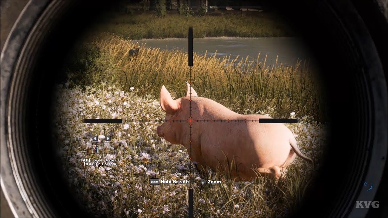 Cod Five Pigs Far Cry 5 - Hunting Pigs - Open World Free Roam Gameplay (PC HD ...