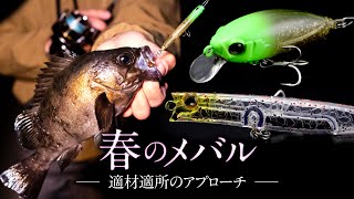 【釣果に差がつく-メバリング-】春のメバルの探し方 “ 激戦区 ” 瀬戸内エリアで表層攻略 / 漁港・堤防 / 去川直稔