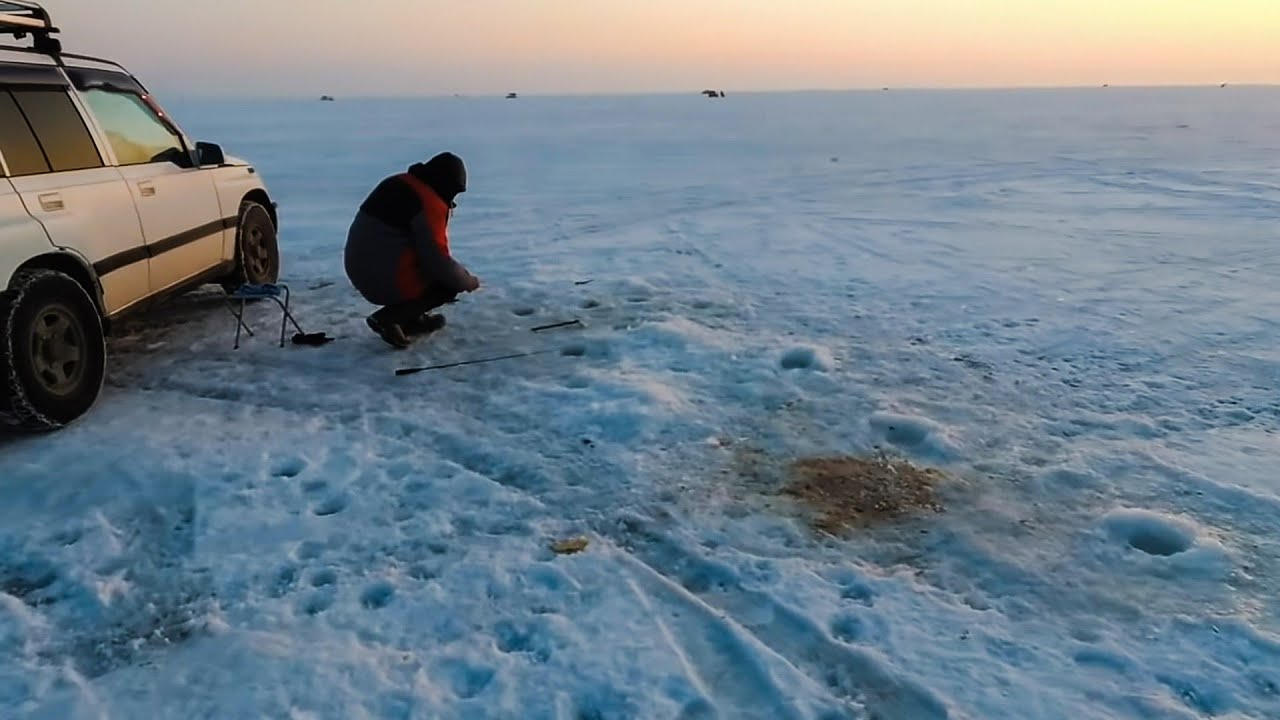 зимняя рыбалка на навагу видео