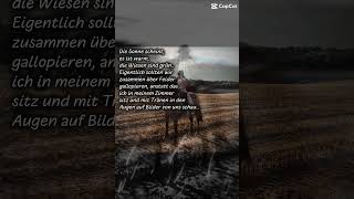 I miss you #horse #trauer #shorts