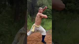 Shaolin Kung Fu  #yanhao  #少林寺