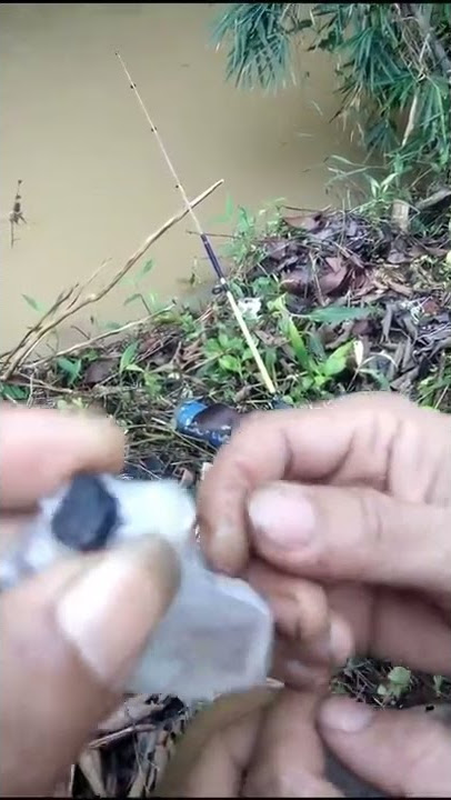 GETAH KATILAYU