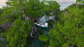 Camping In The Mangroves | Happy Hour Test Run