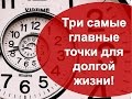 Три  важнейшие точки Долгой Жизни!