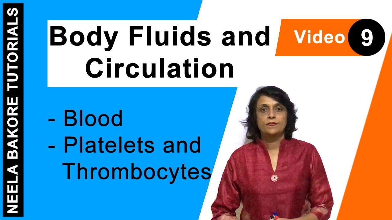 Body Fluids and Circulation - Blood - Platelets and Thrombocytes aiims result 2019