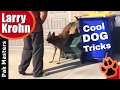 How to teach a dog cool tricks / Dog Hand Stand Tutorial 🔹 Clicker Training How to teach a dog cool tricks / Dog Hand Stand Tutorial 🔹 Clicker Training