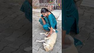 Ache karm hi aap ki pahchan hai 🙏#puppies #shortvideos #streetdog