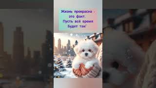 Жизнь прекрасна -это факт. Пусть всё время будет так!