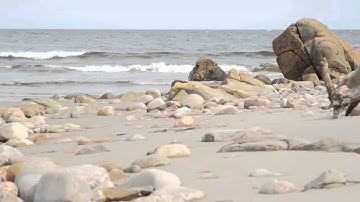 فخلف من بعدهم خلف أضاعوا الصلاة محمد اللحيدان  من سورة مريم