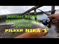 Реакція жереха на швидку проводку pilker Nika "S" на Дністрі