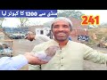 241 lari adda kabootar mandi 2024lahore sunday birds market 2024 new update price   pigeons