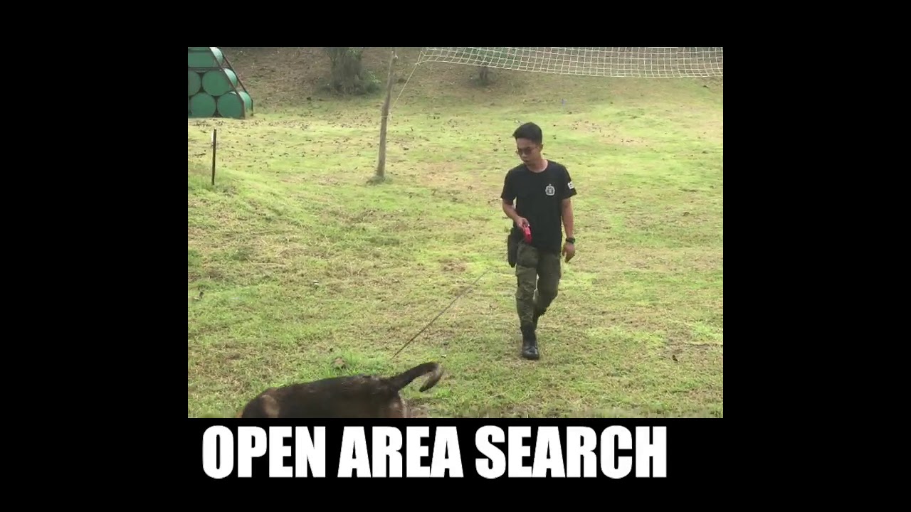 SCTI OPEN AREA SEARCH- Practice Evaluation