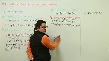 Best Lecture Free l Class 7th I Math I ICSE I Algebric Expressions And Fundamental Operations I L102