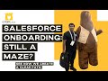 Salesforce Onboarding: Instant UX Guidance &amp; Zero Confusion for New Reps!
