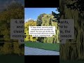 really helped me out! Do you have any advice? #adhd #adhdhelp #adhdtips #adhdhacks #MentalHealth