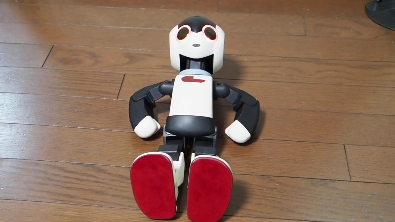 諦めていたロビが我が家にやってきた キャリングケース付き組立済み