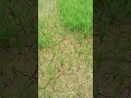 krishi @.farmer@malhar