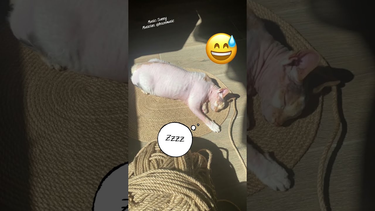 Jute Rope Rug For Home Jute Crafts shorts diy YouTube