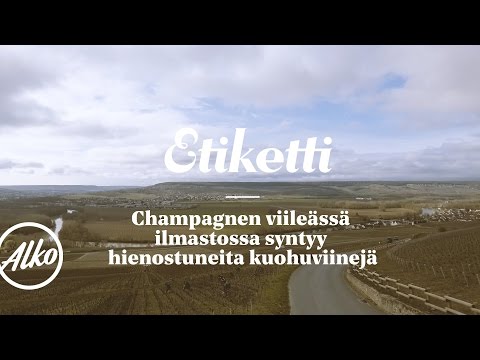 Video: Analyytikko Kertoi Mandariinien Ja Samppanjan Myynnin Pudotuksesta Ennen Uutta Vuotta