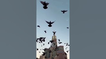 Thumbnail of Beautiful Nashid #Islamic shorts 🕋🤲🕌 Makka Madina status ❤️