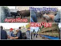 Ноокаттагы  Жем Чөп  Саан  Уйлар   Кандай баада 14-август