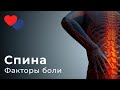 Почему болит спина. Факторы боли.