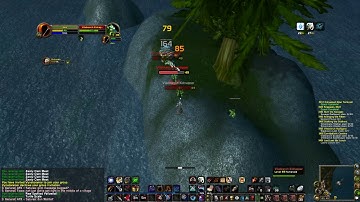 Vanilla World of Warcraft / Nostalrius / Elysium / Hunter 50+