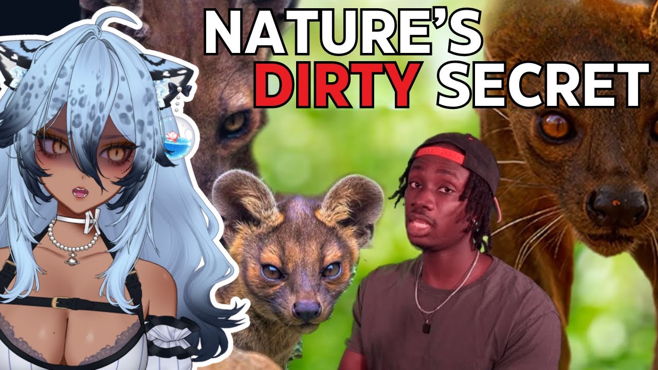 Vtuber Realizes Why Schools DO NOT Teach About This Animal | Channie Reacts to Casual Geographic