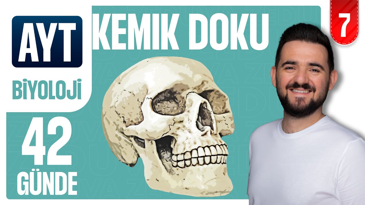 Kemik Doku | 42 GÜNDE AYRINTILI AYT BİYOLOJİ KAMPI 2026-2027 | 7.GÜN