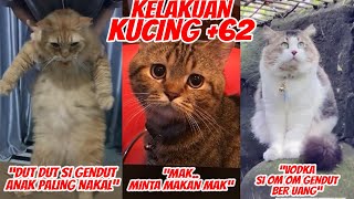 KENAPA KUCING +62 GENDUT GENDUT SEMUA YA? 🤣 by MalikPedia Channel 1,250 views 2 years ago 8 minutes, 44 seconds