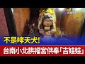 不是哮天犬！ 台南小北拱福宮供奉「吉娃娃」