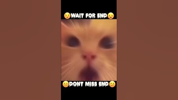 difficult to survive in military😤don’t miss the last seen in PUBG🥵#shorts #viralshorts #pubg #bgmi