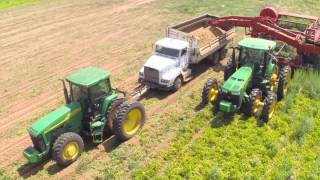 Potato harvest in western Oklahoma, 2014