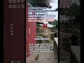夜爬泰山失联20多天,28岁小伙李小龙的遗体已找到,亲属:法医排除他杀,亲属连日等候的地方距离遗体发现处很近,他是家中独子母亲已瘦得不成人样,此前父母还和他商量十一回家相亲