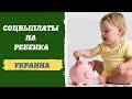 Социальные выплаты на детей, Украина. Интервью с юристом Юлией Дубенко