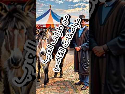 من طرائف العرب مواصفات القاضي