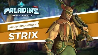 Paladins - Ability Breakdown - Strix, Ghost Feather
