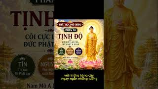 Tịnh Độ - Cõi Cự Lạc Của Thế Giới Thanh Tịnh Và An Vui