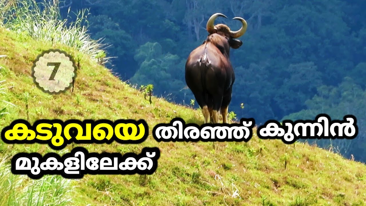 periyar-tiger-reserve-edapalayam