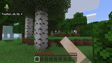 Minecraft inverted controls