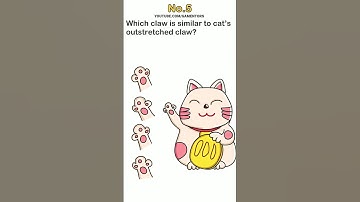 Brain Test  Tricky Puzzles 1 2 3 4 5 6 7