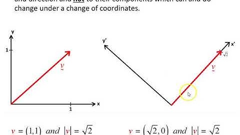 Invariance of scalars and vectors